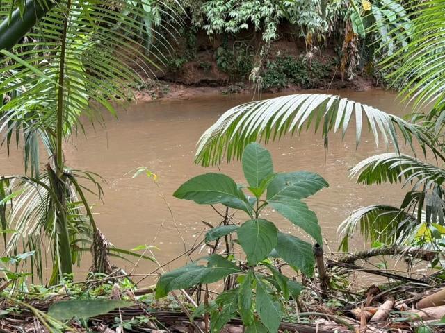 Terreno / Lote para Venda em Morretes/PR Zona Rural