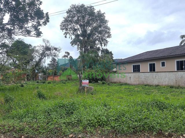 Terreno / Lote para Venda em Morretes/PR Zona Rural