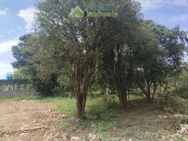 Terreno / Lote para Venda em Morretes/PR Zona Rural