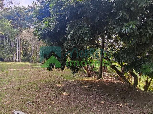 Terreno / Lote para Venda em Morretes/PR Zona Rural