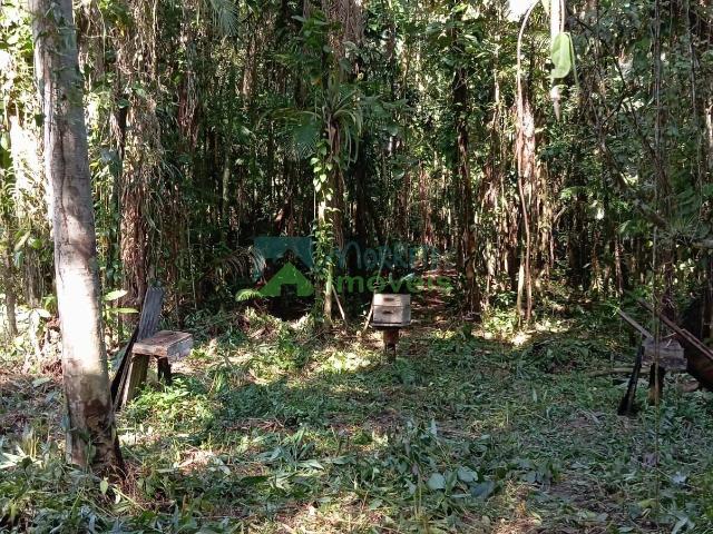 Terreno / Lote para Venda em Morretes/PR Zona Rural
