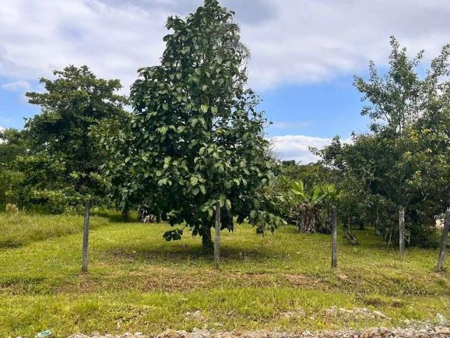 Terreno / Lote para Venda em Morretes/PR Zona Rural