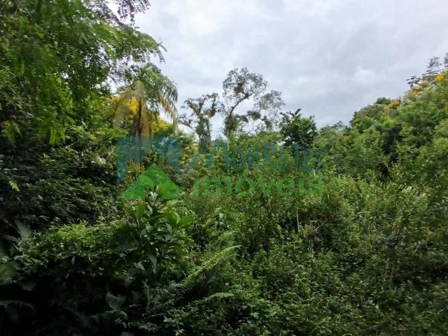 Terreno / Lote para Venda em Morretes/PR Zona Rural