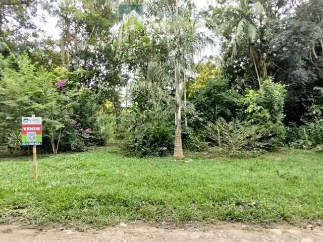 Terreno / Lote para Venda em Morretes/PR Zona Rural