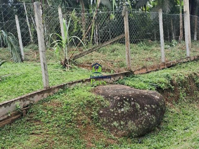 Terreno / Lote para Venda em Morretes/PR Zona Rural