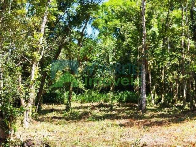 Terreno / Lote para Venda em Morretes/PR Zona Rural