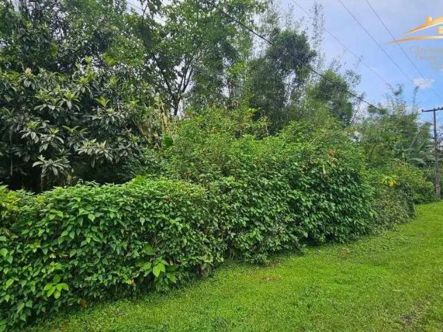 Terreno / Lote para Venda em Morretes/PR Zona Rural