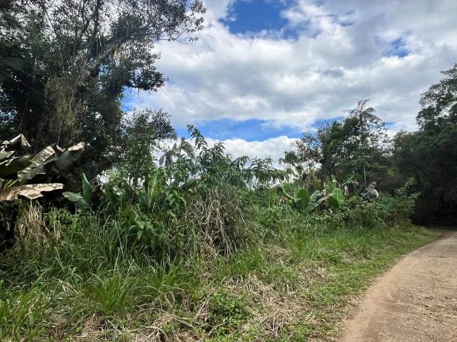 Terreno / Lote para Venda em Morretes/PR Zona Rural
