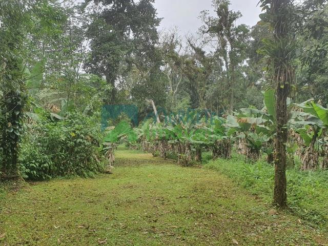 Terreno / Lote para Venda em Morretes/PR Zona Rural