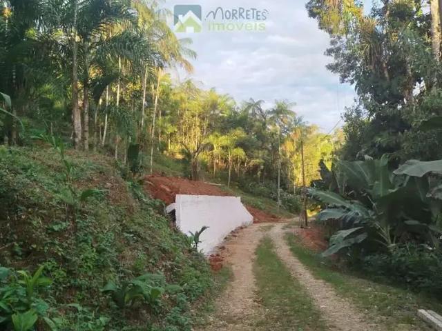 Terreno / Lote para Venda em Morretes/PR Zona Rural