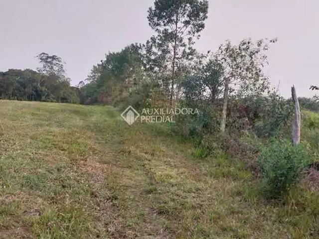 Terreno / Lote para Venda em Morro da Fumaça/SC Maccari