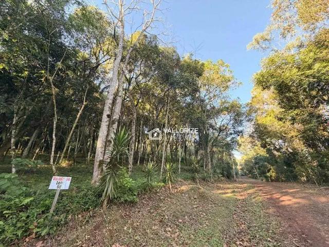 Terreno / Lote para Venda em Morro Reuter/RS Centro