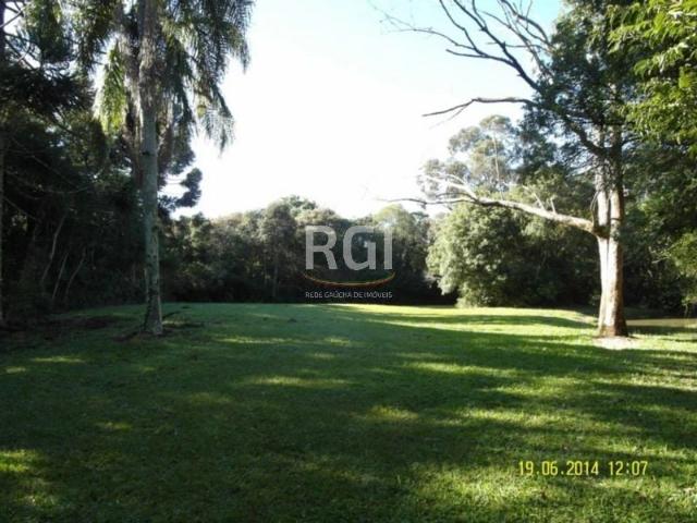 Terreno / Lote para Venda em Morro Reuter/RS Centro