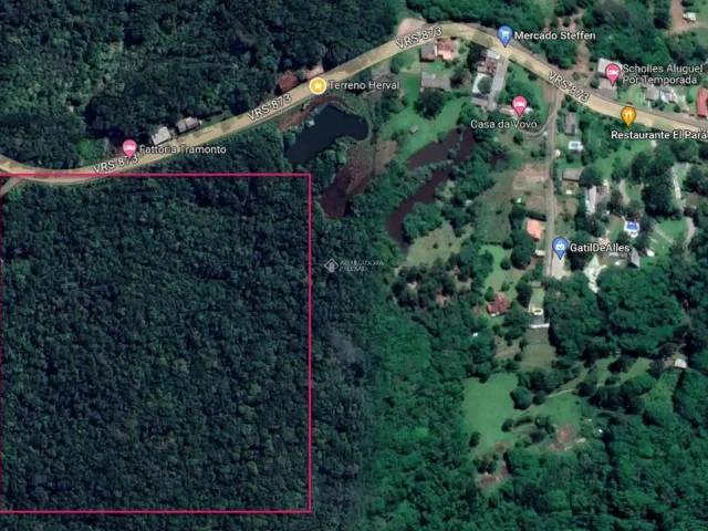 Terreno / Lote para Venda em Morro Reuter/RS Centro