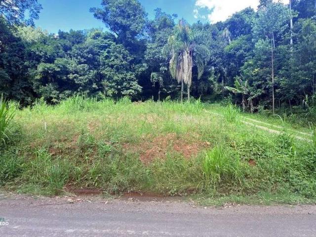 Terreno / Lote para Venda em Morro Reuter/RS Centro