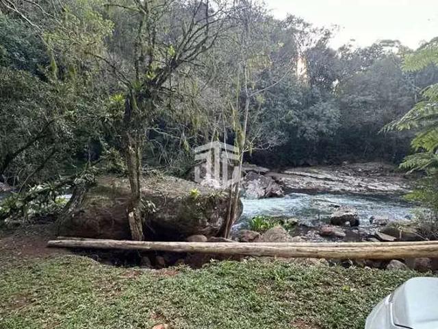 Terreno / Lote para Venda em Morro Reuter/RS Centro