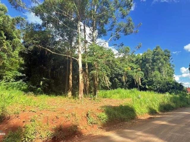 Terreno / Lote para Venda em Morro Reuter/RS Centro