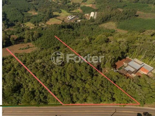 Terreno / Lote para Venda em Morro Reuter/RS Centro