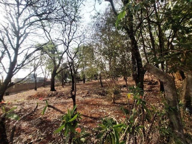 Terreno / Lote para Venda em Motuca/SP Centro