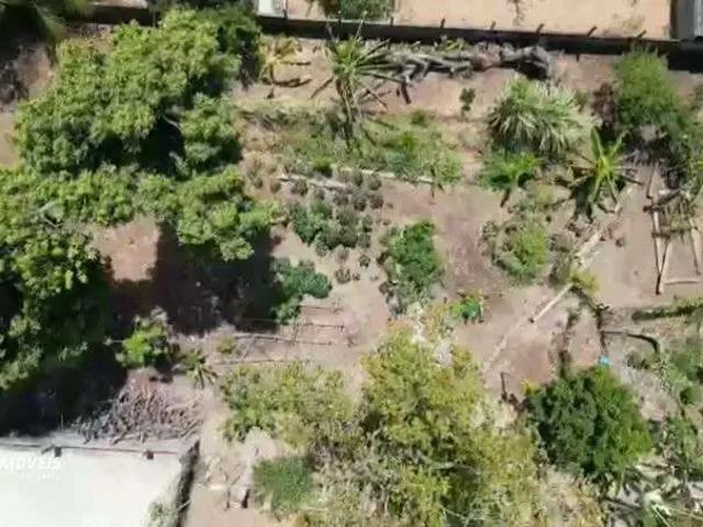 Terreno / Lote para Venda em Natal/RN Candelária
