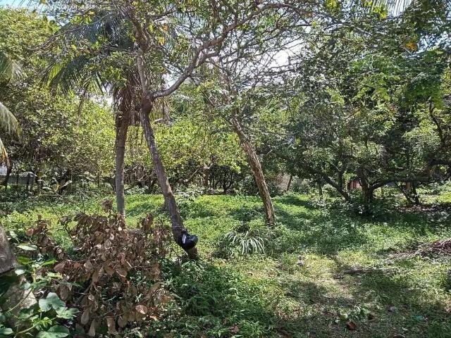 Terreno / Lote para Venda em Natal/RN Ponta Negra