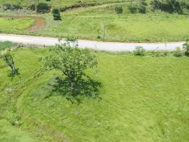 Terreno / Lote para Venda em Navegantes/SC Área Rural de Navegantes