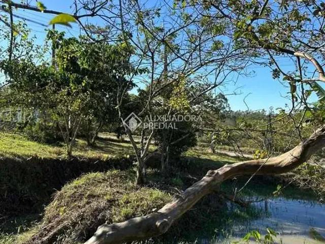 Terreno / Lote para Venda em Navegantes/SC Escalvados