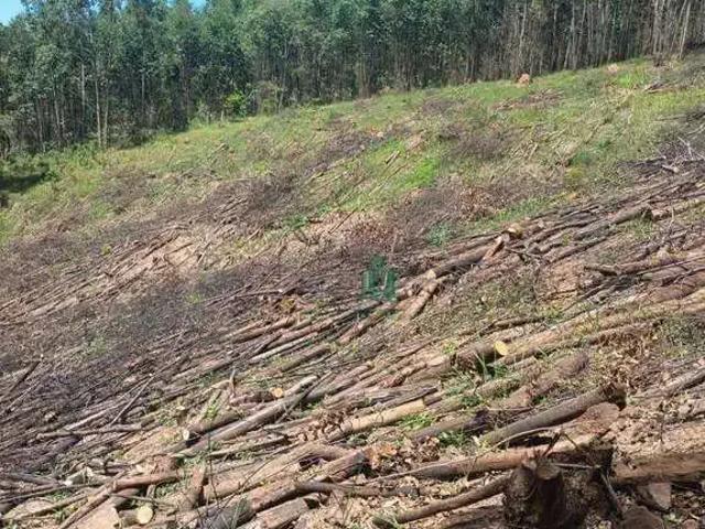 Terreno / Lote para Venda em Nazaré Paulista/SP Centro