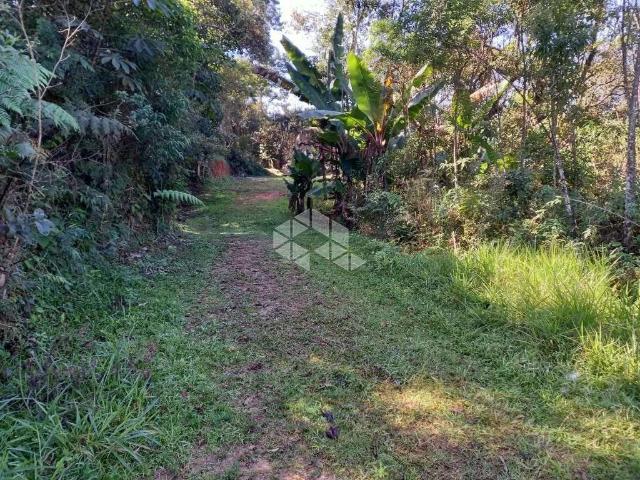 Terreno / Lote para Venda em Nazaré Paulista/SP Mascate Grande