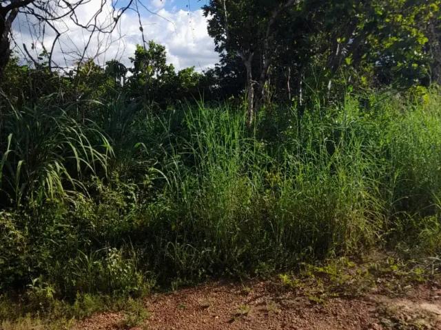 Terreno / Lote para Venda em Niquelândia/GO Zona Rural