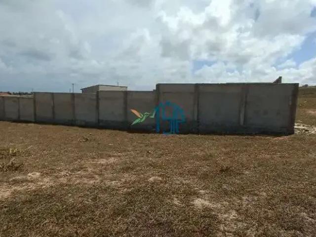 Terreno / Lote para Venda em Nísia Floresta/RN Barra de Tabatinga