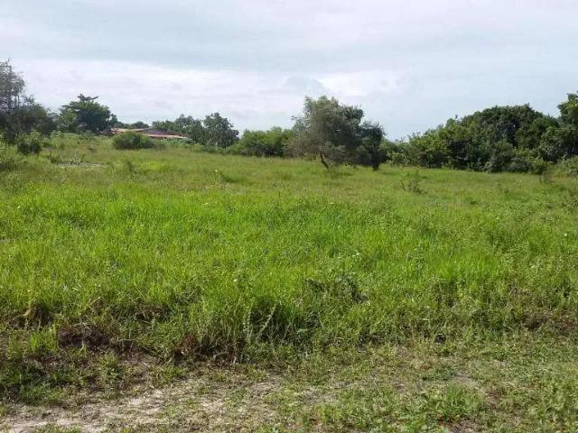 Terreno / Lote para Venda em Nísia Floresta/RN Bonfim