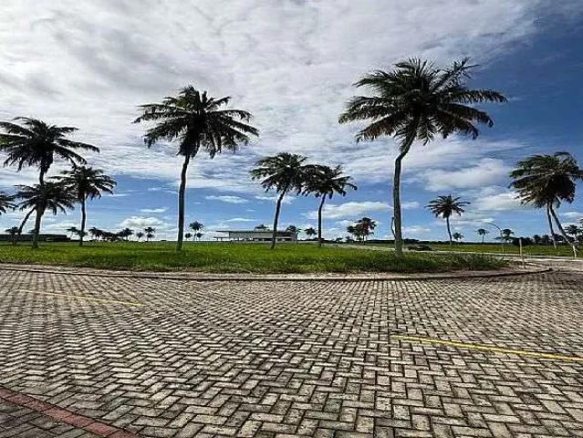 Terreno / Lote para Venda em Nísia Floresta/RN Bonfim