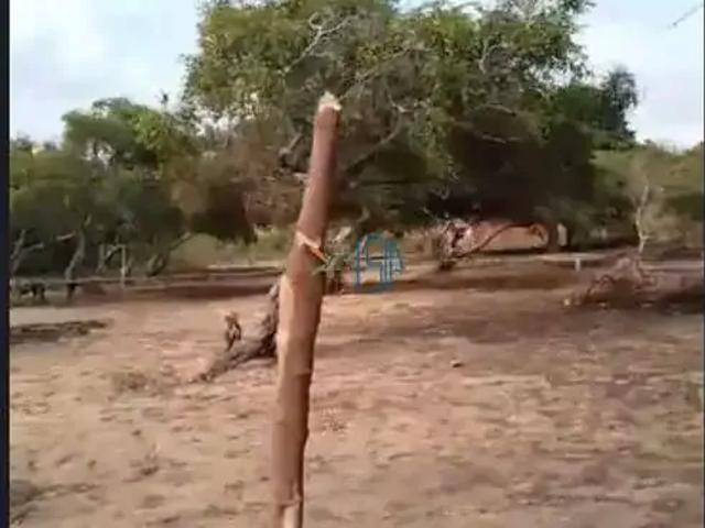 Terreno / Lote para Venda em Nísia Floresta/RN Centro