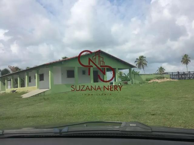 Terreno / Lote para Venda em Nísia Floresta/RN Centro 3 Quartos
