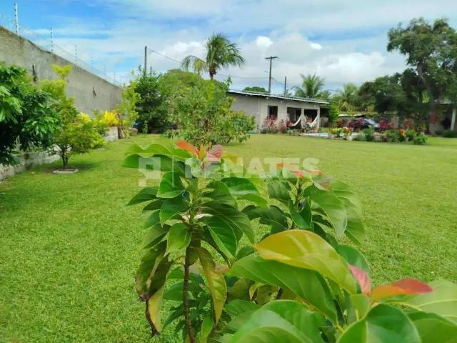 Terreno / Lote para Venda em Nísia Floresta/RN Povoado de Pium