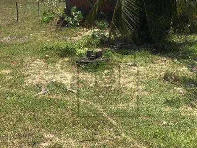 Terreno / Lote para Venda em Nísia Floresta/RN Praia de Tabatinga