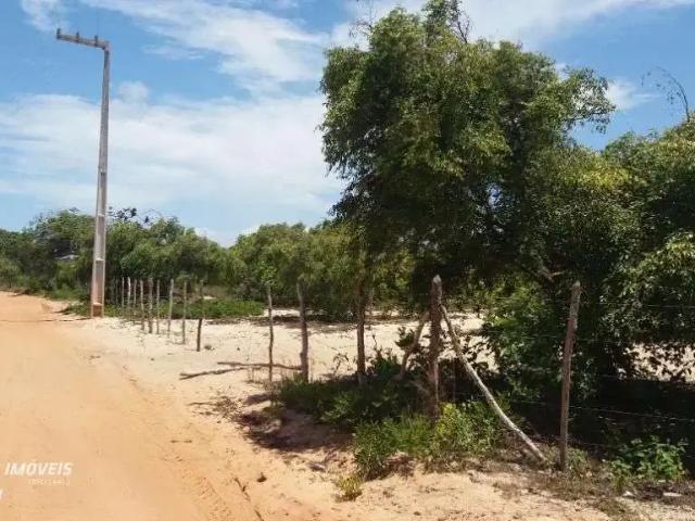 Terreno / Lote para Venda em Nísia Floresta/RN Zona Rural