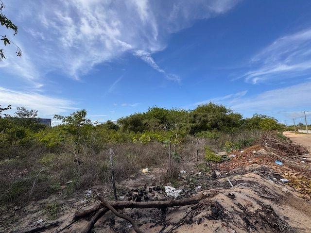 Terreno / Lote para Venda em Nísia Floresta/RN Zona Rural