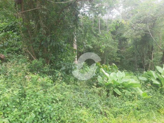 Terreno / Lote para Venda em Niterói/RJ Cafubá