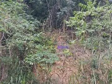 Terreno / Lote para Venda em Niterói/RJ Cafubá