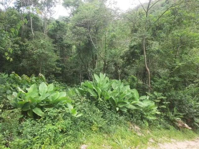 Terreno / Lote para Venda em Niterói/RJ Cafubá