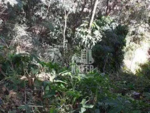 Terreno / Lote para Venda em Niterói/RJ Icaraí