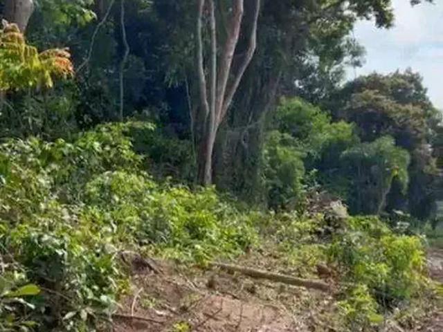 Terreno / Lote para Venda em Niterói/RJ Itacoatiara