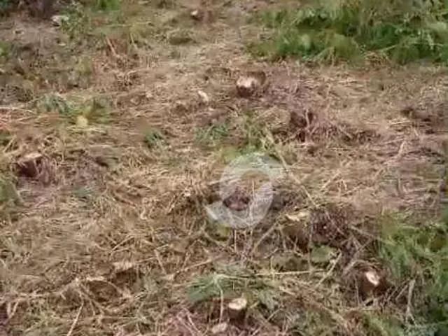 Terreno / Lote para Venda em Niterói/RJ Itaipu