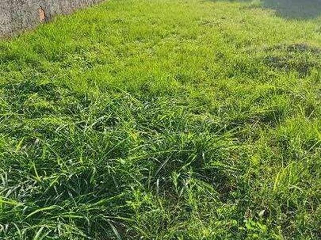Terreno / Lote para Venda em Niterói/RJ Itaipu