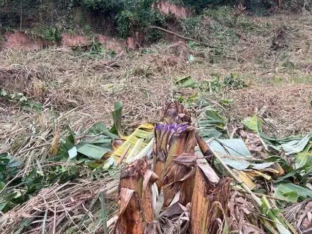 Terreno / Lote para Venda em Niterói/RJ Maravista