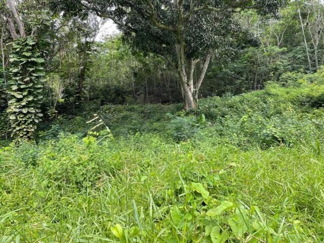 Terreno / Lote para Venda em Niterói/RJ Muriqui