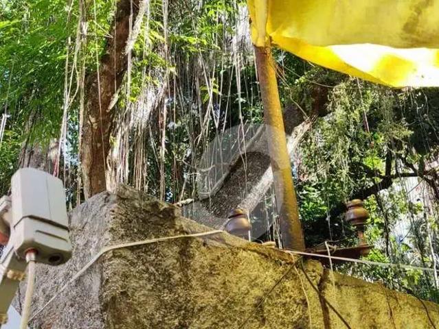 Terreno / Lote para Venda em Niterói/RJ Santa Rosa