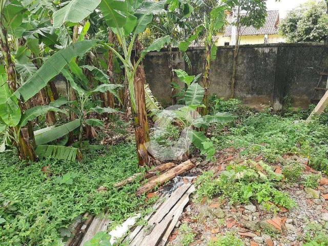 Terreno / Lote para Venda em Niterói/RJ Serra Grande